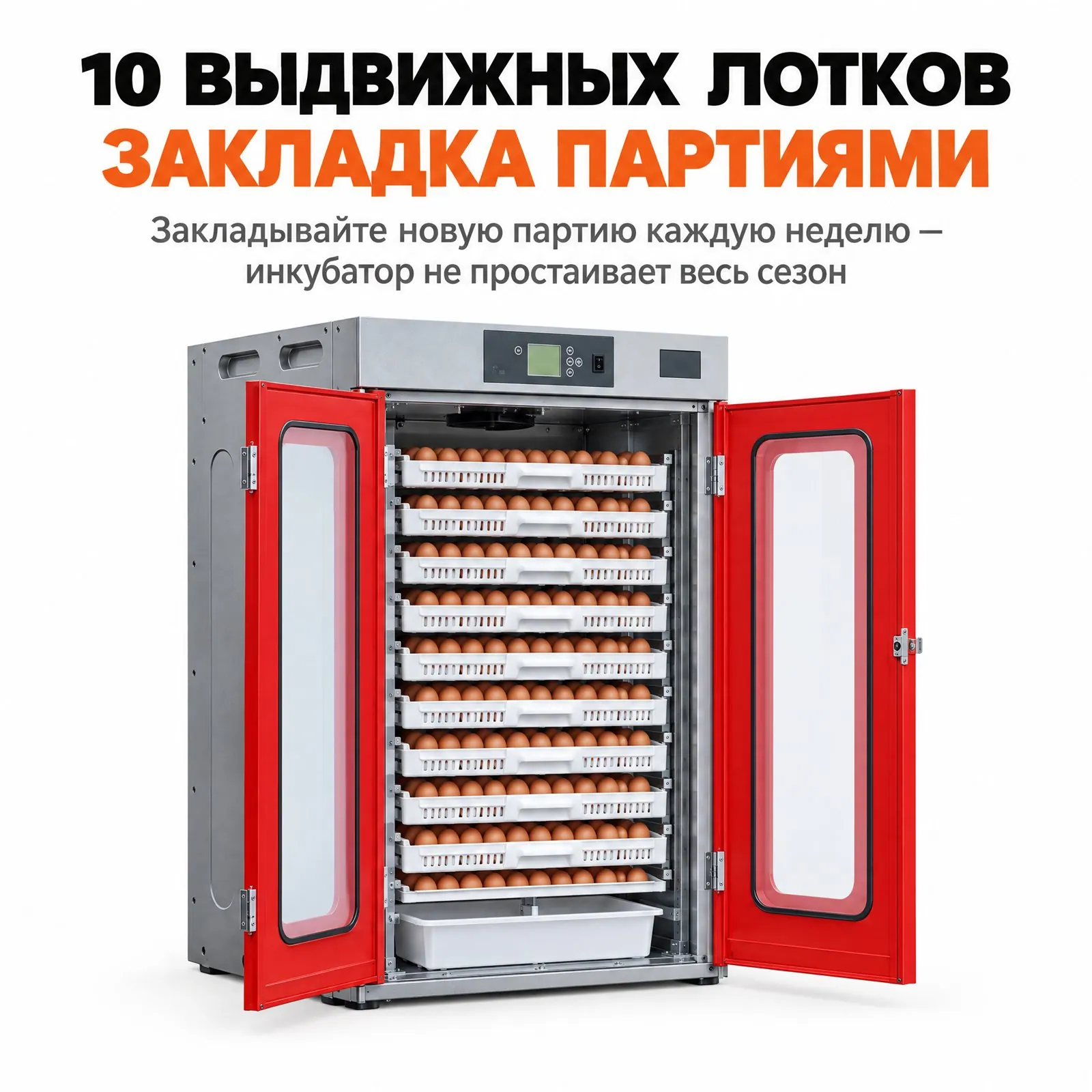 Инкубатор на 1000 яиц: как провести первую закладку
