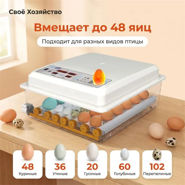 Как выбрать инкубатор: на 48, 400 или 1000 яиц