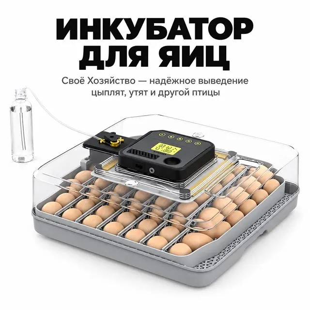 Птица