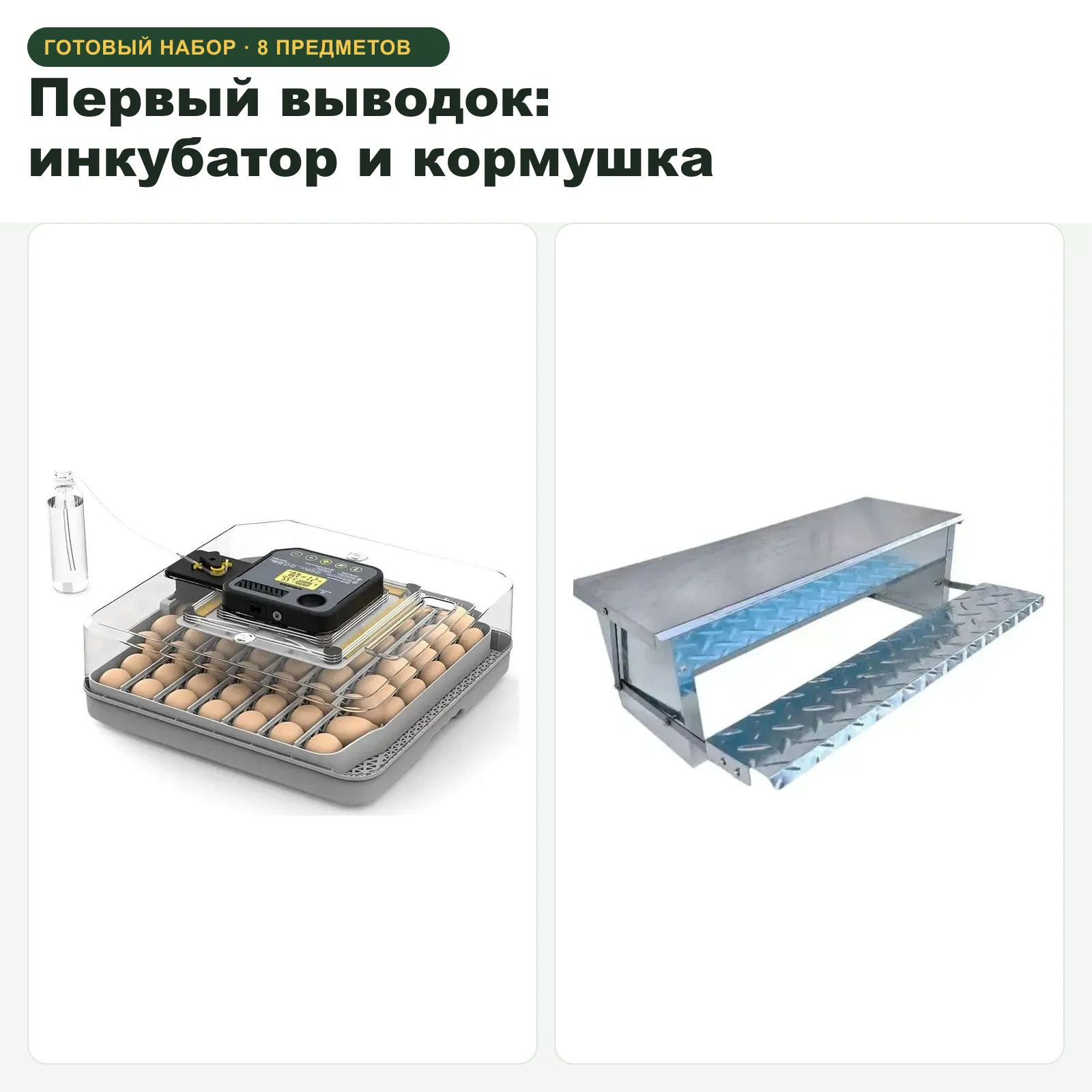 Первый выводок: инкубатор и кормушка, фото 1