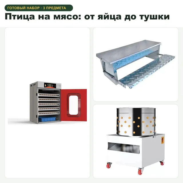 Птица на мясо: от яйца до тушки